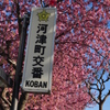 河津町交番
