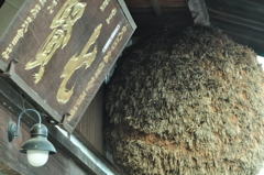 山梨　七賢