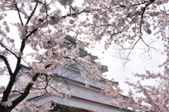 鶴ヶ城