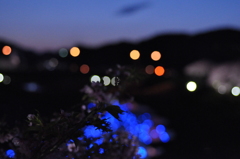  夜の前