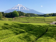 日本的風景