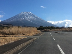 富士山