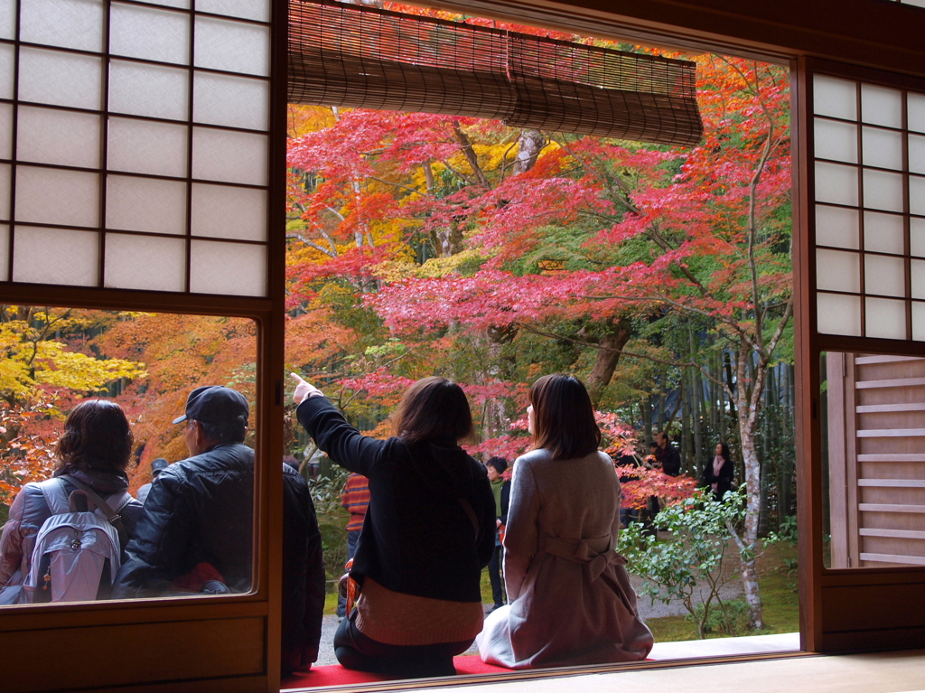 紅葉真っ盛り