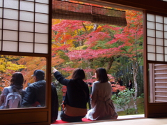 紅葉真っ盛り