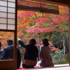 紅葉真っ盛り