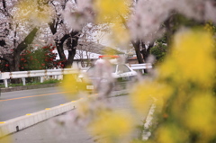 愛知県警