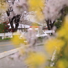 愛知県警
