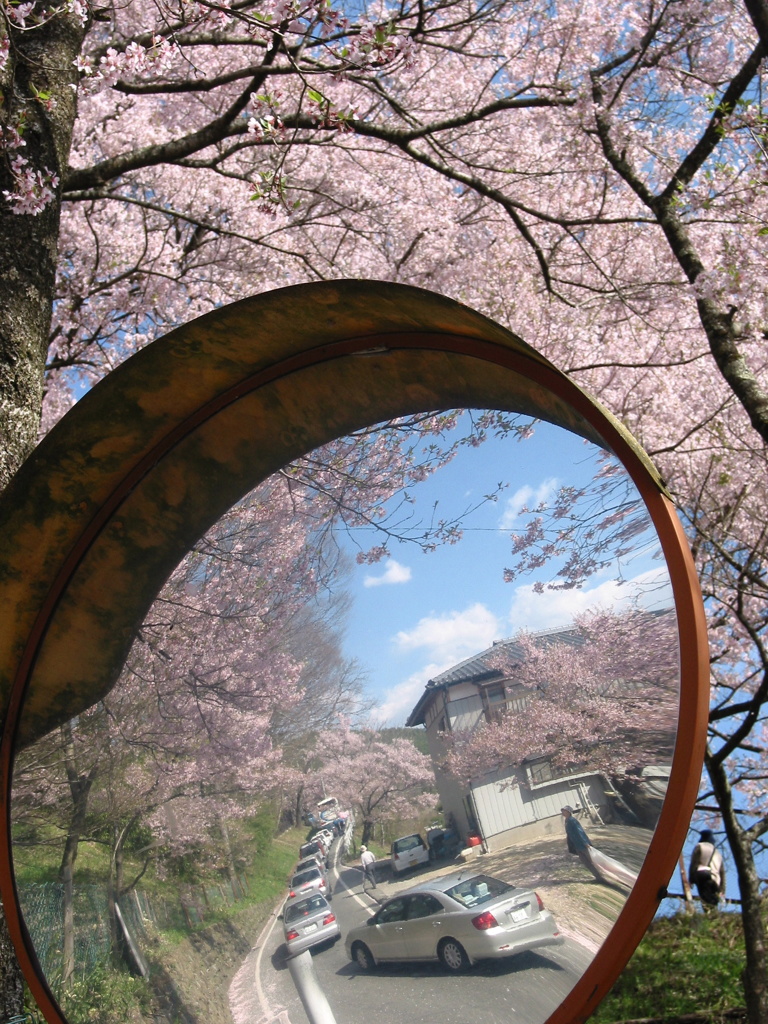 カーブの先は・・・