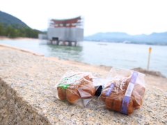 宮島工事中