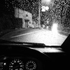 雨