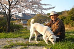 相棒と花見