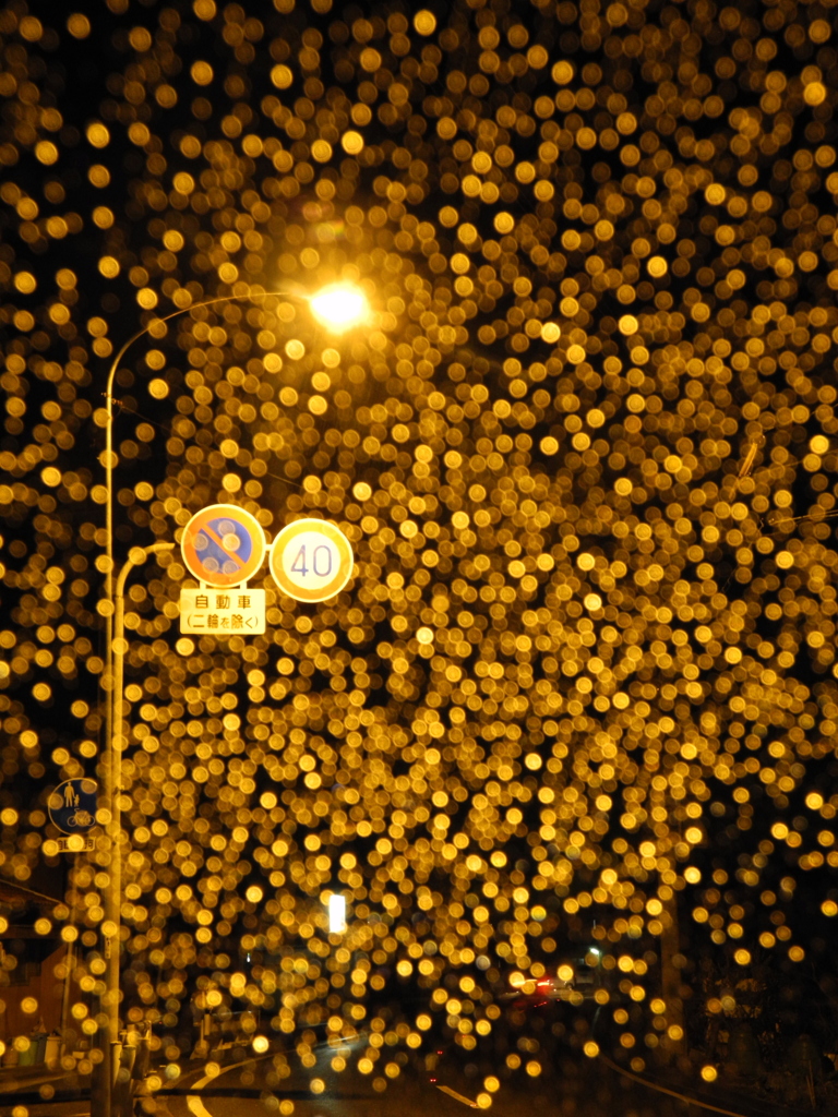雨のイルミネーション