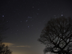 orion