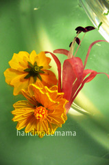 ボタニカルクイリング　黄花コスモス