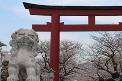 鶴ヶ丘八幡宮