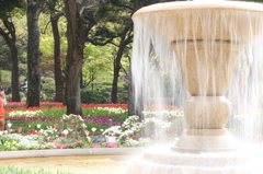 噴水_横浜スタジアム