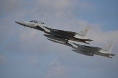 F15