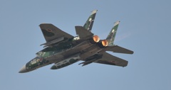F15