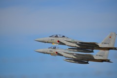 F15