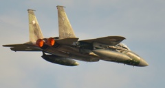 F15