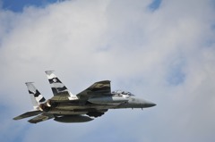 F15