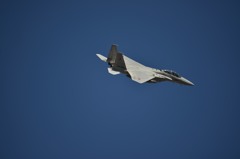 F15