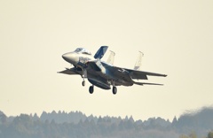 F15