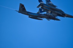 F15