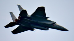 F15