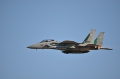 F15