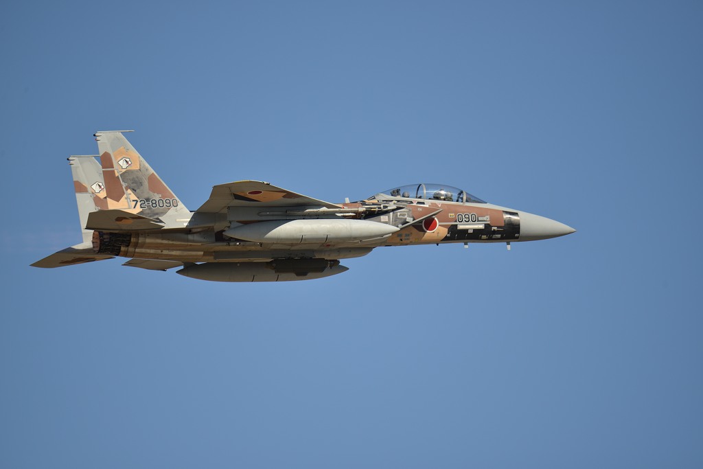 F15