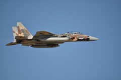 F15