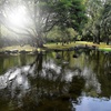 公園