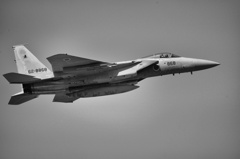 F15