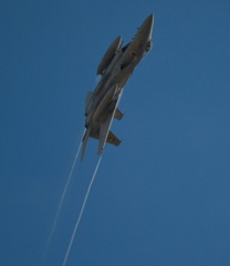 F15