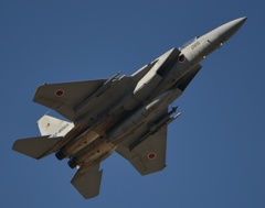 F15