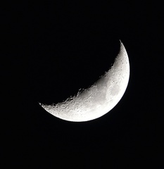 DSC_7455