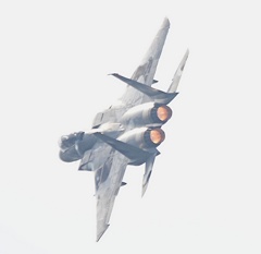 F15