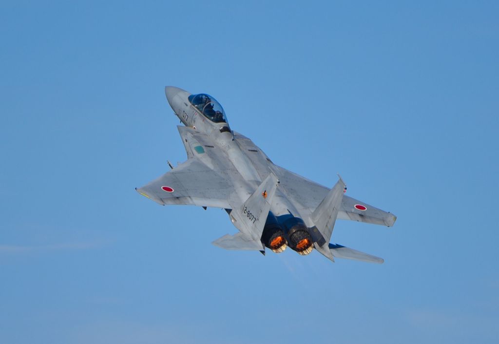F15