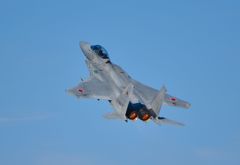 F15