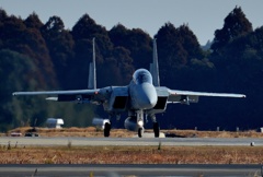 F15