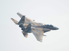 F15