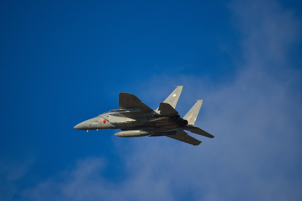F15