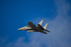 F15