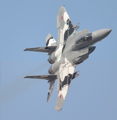 F15
