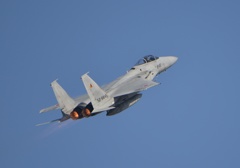 F15