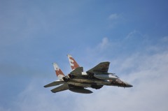 F15 (3)