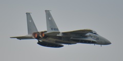 DSC_6767