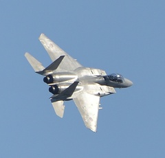 F15