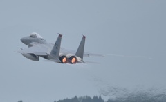 F15